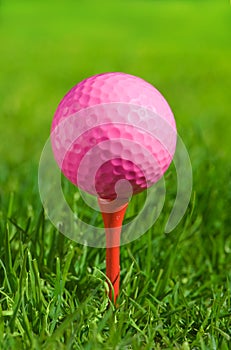 Golf ball on a green grass