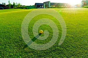 Golf ball on green grass