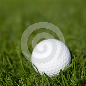 Golf ball on green grass