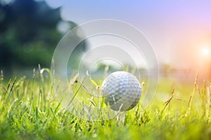 Golf ball on green grass in beautiful golf course at sunset background