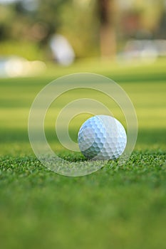 Golf ball on green grass in course