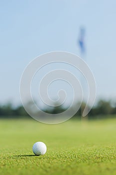 Golf ball on green grass course lawn field park nature background