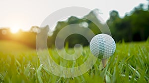 Golf ball on green grass in the evening golf course with sunshine background