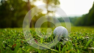 Golf ball on green grass in the evening golf course with sunshine background