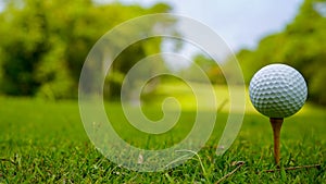 Golf ball on green grass in the evening golf course with sunshine background