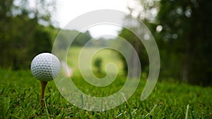 Golf ball on green grass in the evening golf course with sunshine background