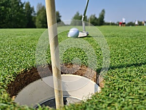 Golf ball on green grass with golf ball closeup