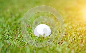 Golf ball on green grass in golf course