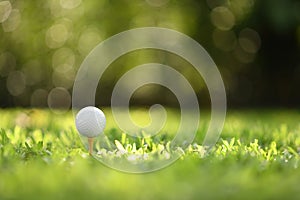 Golf ball on green grass with golf course background