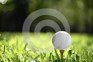 Golf ball on green grass with golf course background