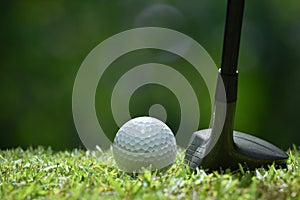 Golf ball on green grass ready to be struck on golf course