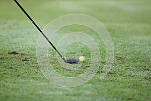 Golf ball on green grass ready to be struck on grass background