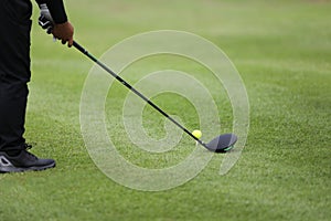 Golf ball on green grass ready to be struck on grass background