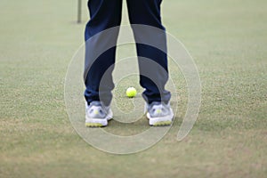 Golf ball on green grass ready to be struck on grass background