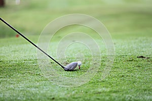 Golf ball on green grass ready to be struck on grass background