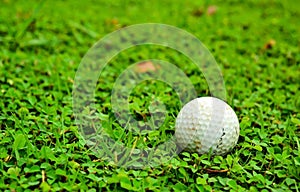 Golf ball on green roungh