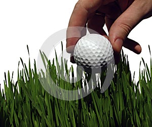 Golf ball in high grass