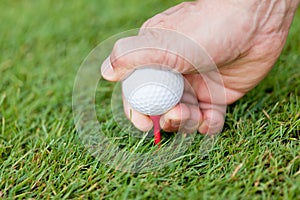 Golf ball and iron on green grass detail macro