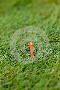 Golf ball and iron on green grass detail macro