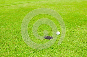 Golf ball on the lawn