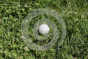 Golf ball lies in green grass