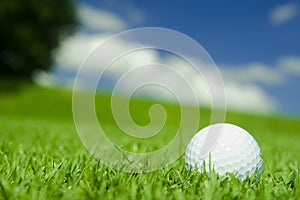 Golf Ball on lush fairway photo