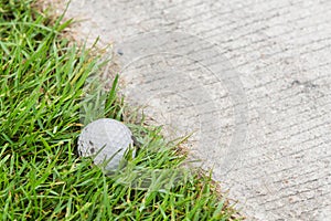 Golf ball near the cart path