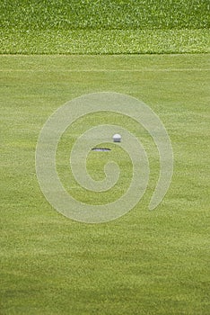 Golf Ball Next to the Hole, on the Green