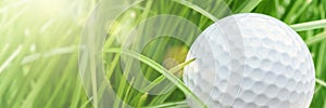 Golf ball over green grass background, closeup. Sport and leisure concept