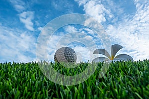 Golf ball with plumrria flower on grass and blue sky background