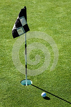 Golf ball on practice putting green next to hole and flag, sunny morning