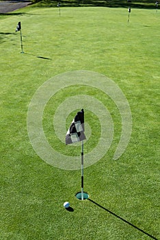 Golf ball on practice putting green next to hole and flag, sunny morning