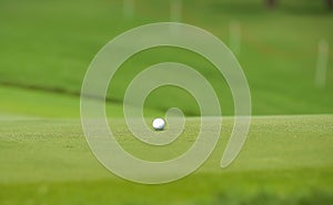 The golf ball put on green grass of golf course