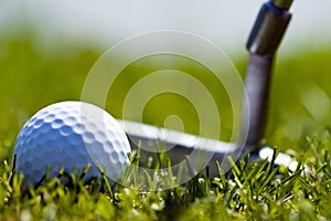 Golf Ball and Putter 1 photo