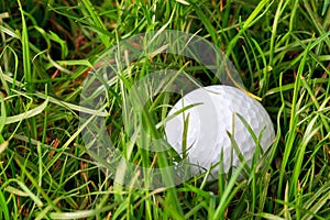 Golf ball in the rough