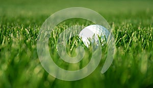 Golf ball in the rough