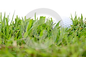 Golf ball in rough grass