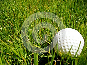 Golf ball in the ruff