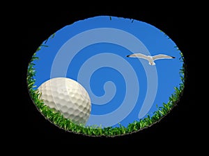 Golf ball with seagull