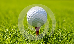 Golf ball at start