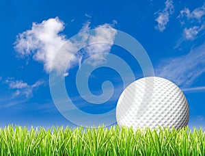 Golf ball in tall grass