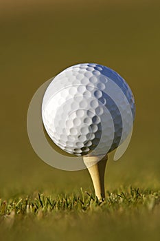 Golf ball on tee