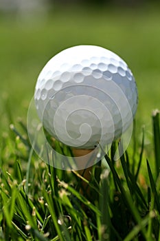 Golf Ball on Tee