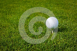 Golf ball on a tee against the golf course with copy space