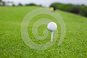 Golf ball on tee in a beautiful golf club