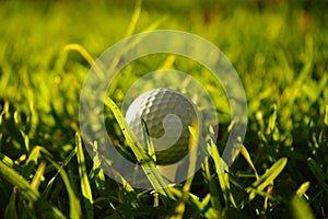 Golf ball on tee in beautiful golf course at sunset background