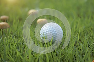 Golf ball on tee in beautiful golf course at Thailand. Collection of golf equipment resting on green grass with green background