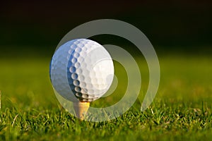 Golf Ball on tee close up