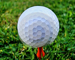 Golf Ball on Tee (close up)