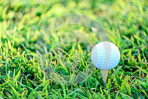 Golf ball with tee on early moning sunlight photo